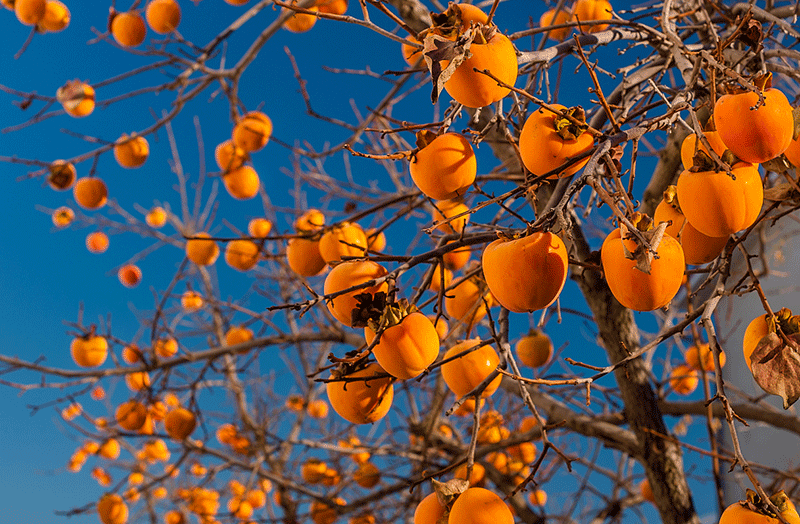 2019102357232817.gif 2019102357232817.gif