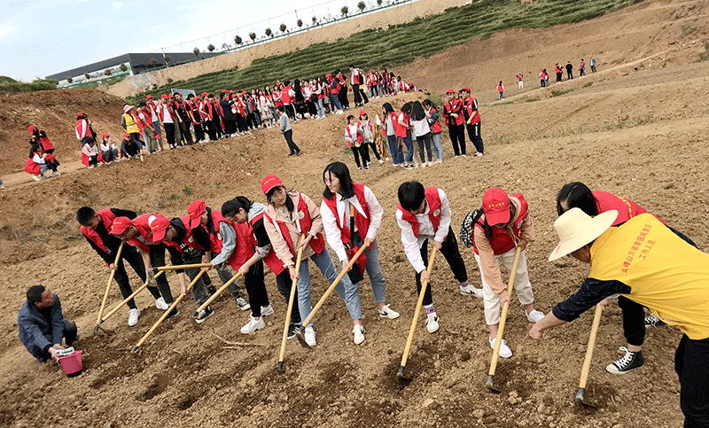 圖片11.gif 圖片11.gif