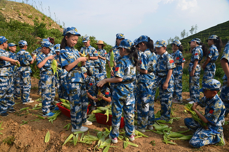 圖片12.gif 圖片12.gif