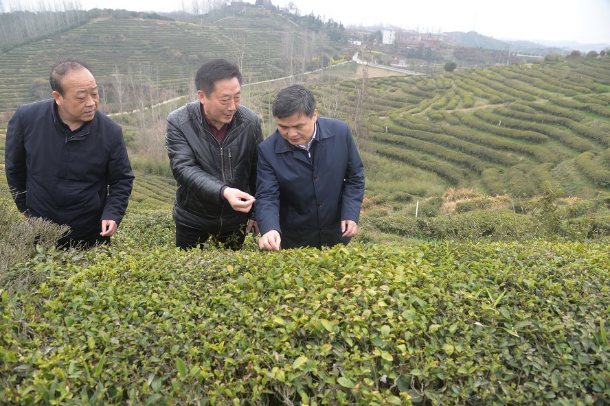 DSC_2414.JPG DSC_2414.JPG